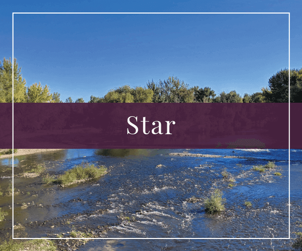 Star Real Estate and Homes